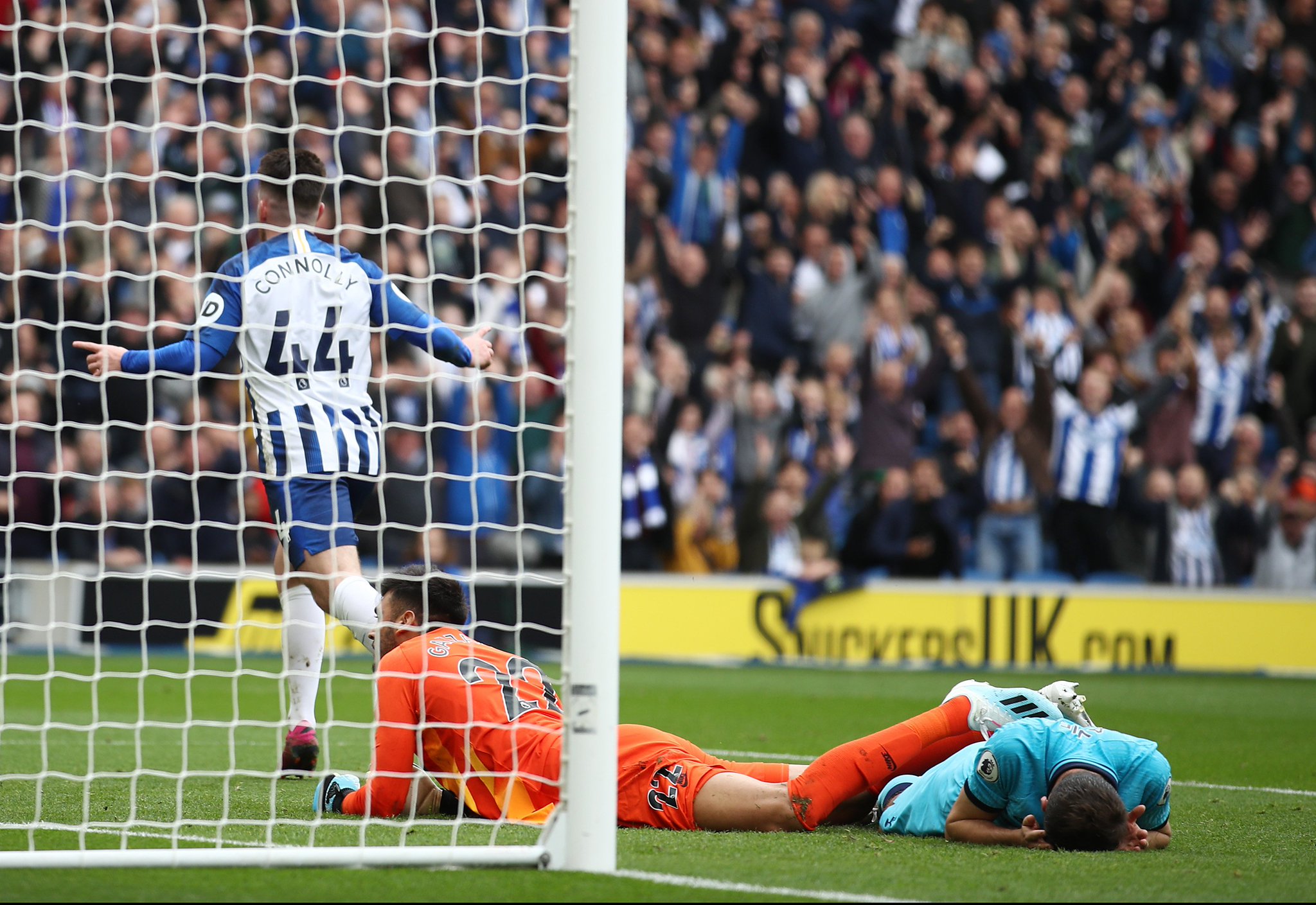 见证了篮球 见证了篮球